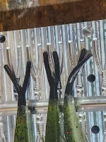 Square Back Minnow TAIL MOLD ONLY (20C)